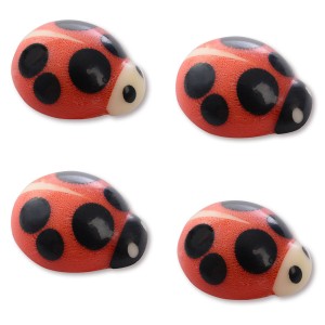 4 Mini Coccinelle -  1,5 cm - Cioccolato bianco