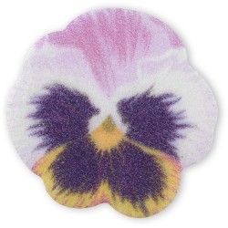 4 Piccole Viole del Pensiero -  3, 2 cm - Ostia. n3