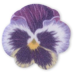 4 Piccole Viole del Pensiero -  3, 2 cm - Ostia. n4