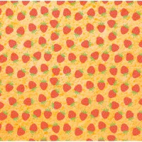 1 Foglio di trasferimento - Fragole