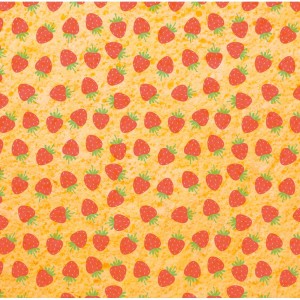 1 Foglio di trasferimento - Fragole