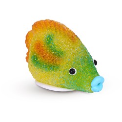 1 Pesce Zucchero / Gelatina - 6, 5 cm. n1