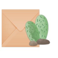 6 Inviti Cactus Lama Birthday