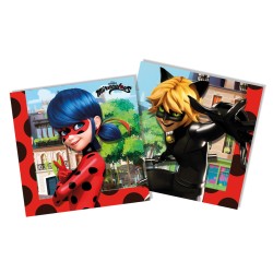 Party box Lady Bug. n2