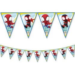 Grande scatola per feste di Spidey. n3