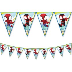 Grande Party Box Spidey. n3