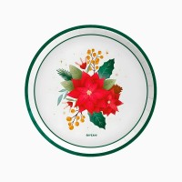 6 piatti natalizi con stelle di Natale