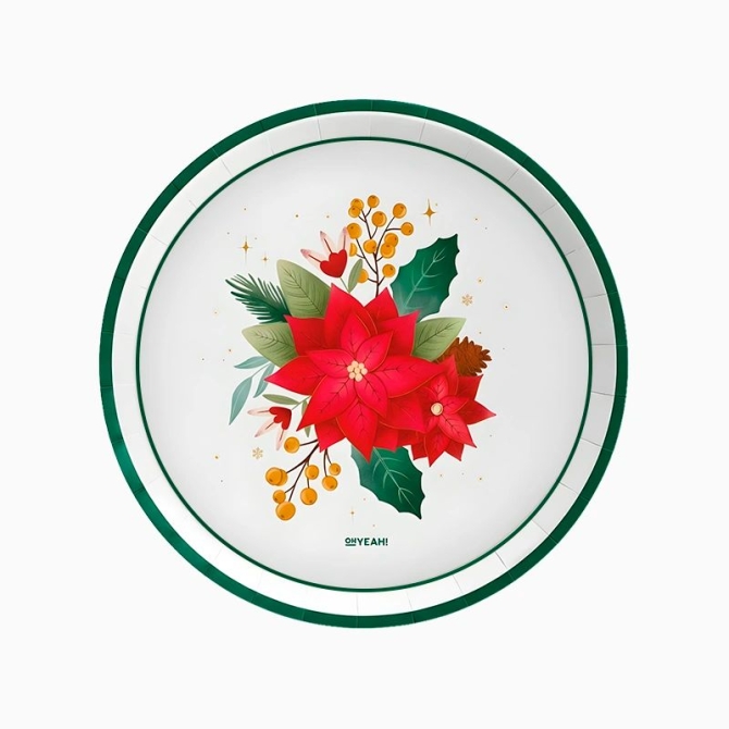 6 piatti natalizi con stelle di Natale 