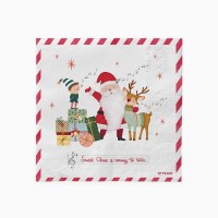 30 tovaglioli Babbo Natale sta arrivando!