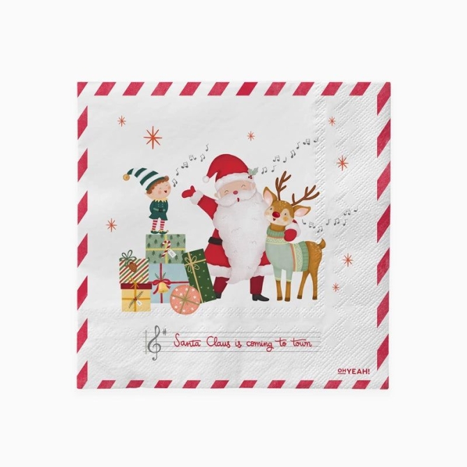 30 tovaglioli Babbo Natale sta arrivando! 