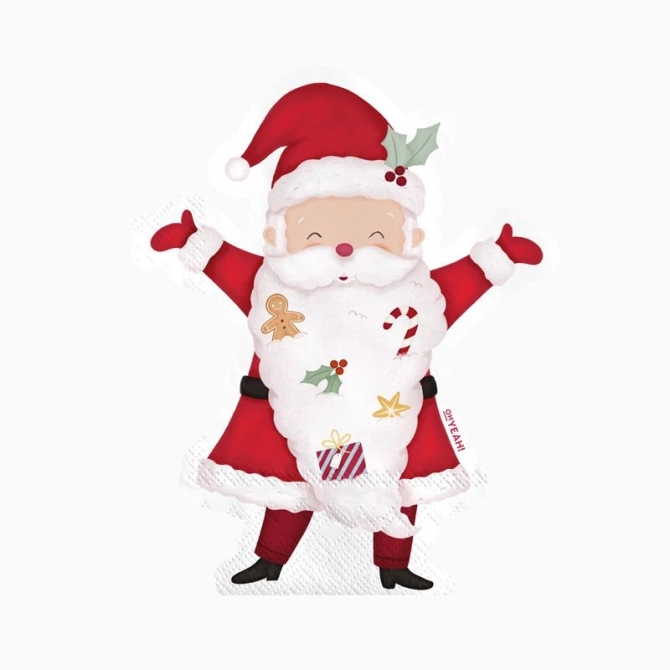 20 tovaglioli a forma di Babbo Natale - Babbo Natale sta arrivando! 