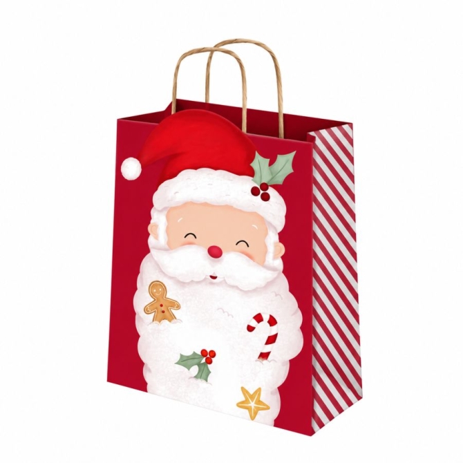 Sacchetto Regalo di Natale Babbo Natale � 24 cm 