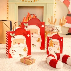 Sacchetto Regalo di Natale Babbo Natale � 24 cm. n�1