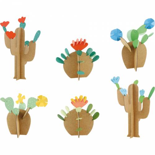 Kit creativo - I miei cactus 
