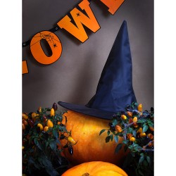 1 cappello da strega - Halloween. n1