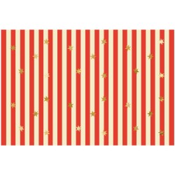 Maxi Circus Party Box. n3