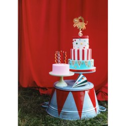 Decorazioni per torte a forma di leone da circo. n1