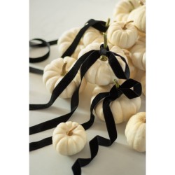 Nastro di velluto nero - 15 mm x 10 m. n1