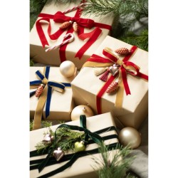 Nastro di velluto rosso - 25 mm x 10 m. n2