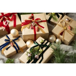 Nastro di velluto oro freddo - 25 mm x 10 m. n2