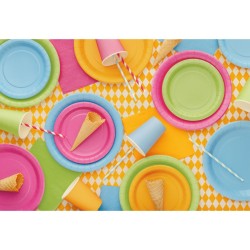 6 Piatti Arancioni �23 cm - Cartone. n�3