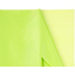 Tovaglia verde pastello 137 x 183 cm - Plastica riutilizzabile. n�1