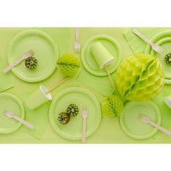 Tovaglia verde pastello 137 x 183 cm - Plastica riutilizzabile. n�2