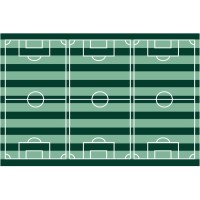 copertura del campo da calcio