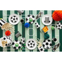 copertura del campo da calcio. n°1