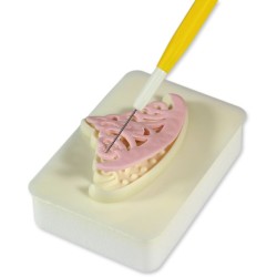 Stampo Pop-it - Tiare da principessa. n10