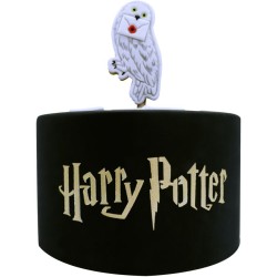 Stencil per torte Harry Potter. n1