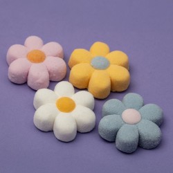12 dolcetti di marshmallow - Fiori pastello. n�2