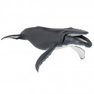 Figura di balena megattera