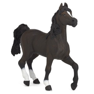Cavallo arabo purosangue arabo figura di cavallo