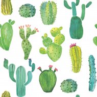 20 Tovaglioli Cactus