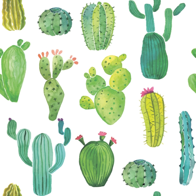 20 Tovaglioli Cactus 