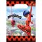 8 super eroi give AWAYS COMPLEANNO cartocci Miraculous Mitgebsel SACCHETTO REGALO 