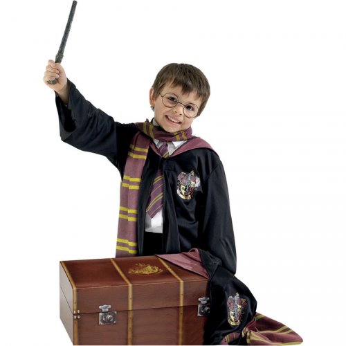 Scrigno + Costume Harry Potter 