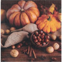 20 Tovaglioli Autunno