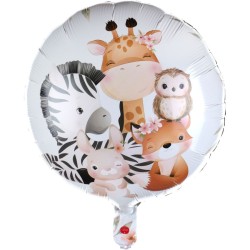 Scatola per feste Maxi Explorer. n6
