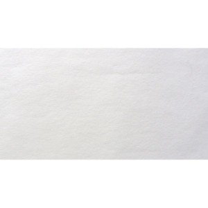 Tovaglia in tessuto non tessuto tinta unita bianca