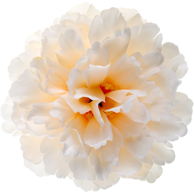 Confezione da 4 peonie � 11 cm - Avorio 