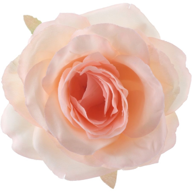 Confezione da 4 rose � 10 cm - color pesca 
