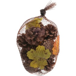 Assortimento di pigne. n�1