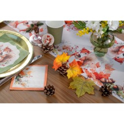 Assortimento di pigne. n�2