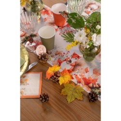 Assortimento di pigne. n�3