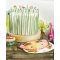 5 Mini Candele Jungle Fun images:#2