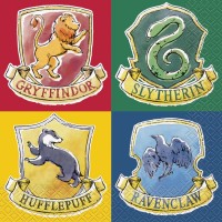 16 Asciugamani del mondo magico di Harry Potter