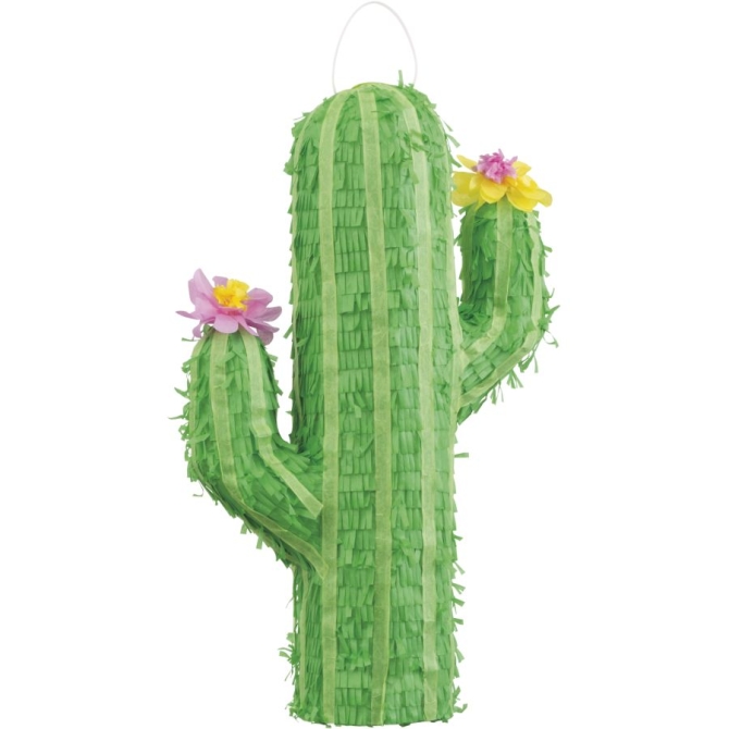 Pignatta cactus 3D 