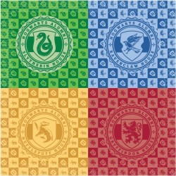 Scatola per feste a tema Case di Harry Potter. n�3